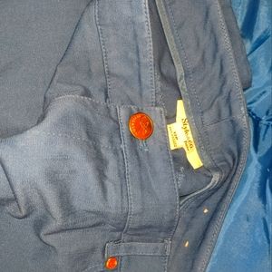Style & Co. Petite Pants in Blue